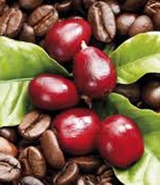 قهوه عربیکا اتیوپی Sidamo یک کیلو گرمی