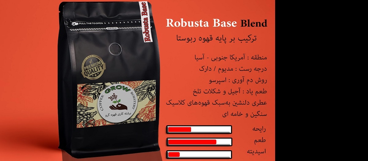 پایه ربوستا